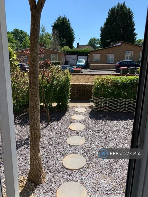 Garden Area