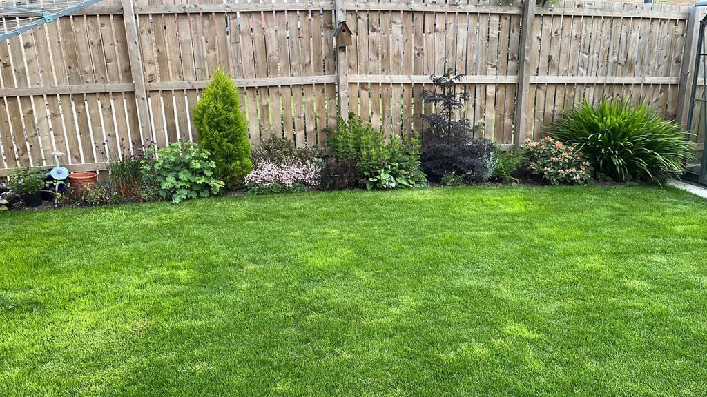 Planted Border