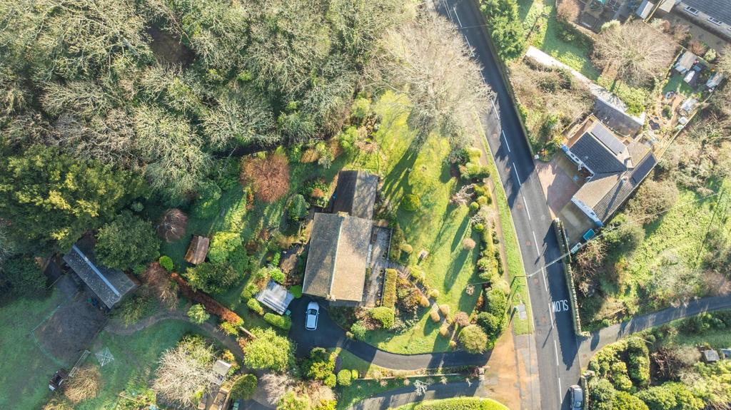 Birds-eye View