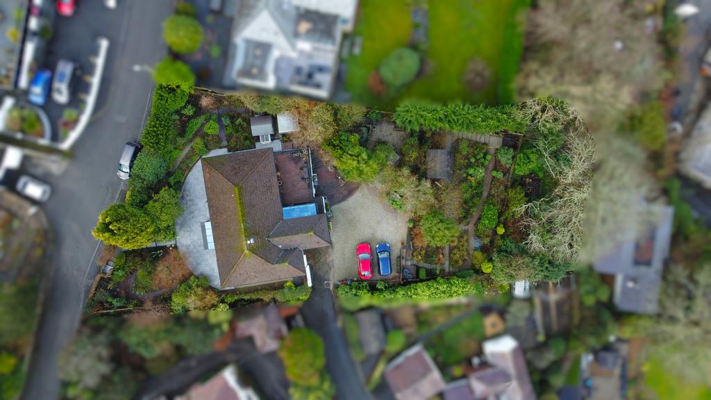 Dji 0178.jpg