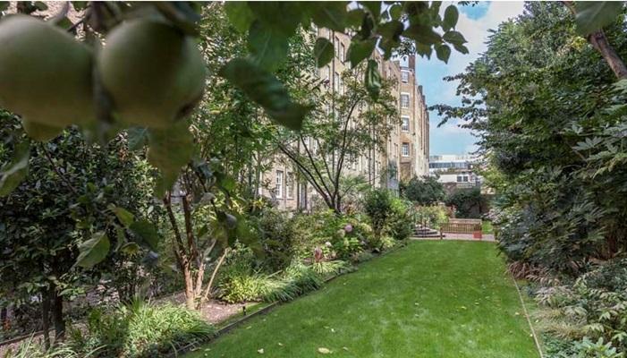 Communal Gardens