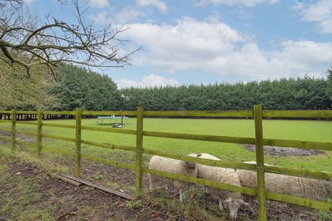 6 bedroom detached house for sale, Lynn Road, Walton Highway, PE14