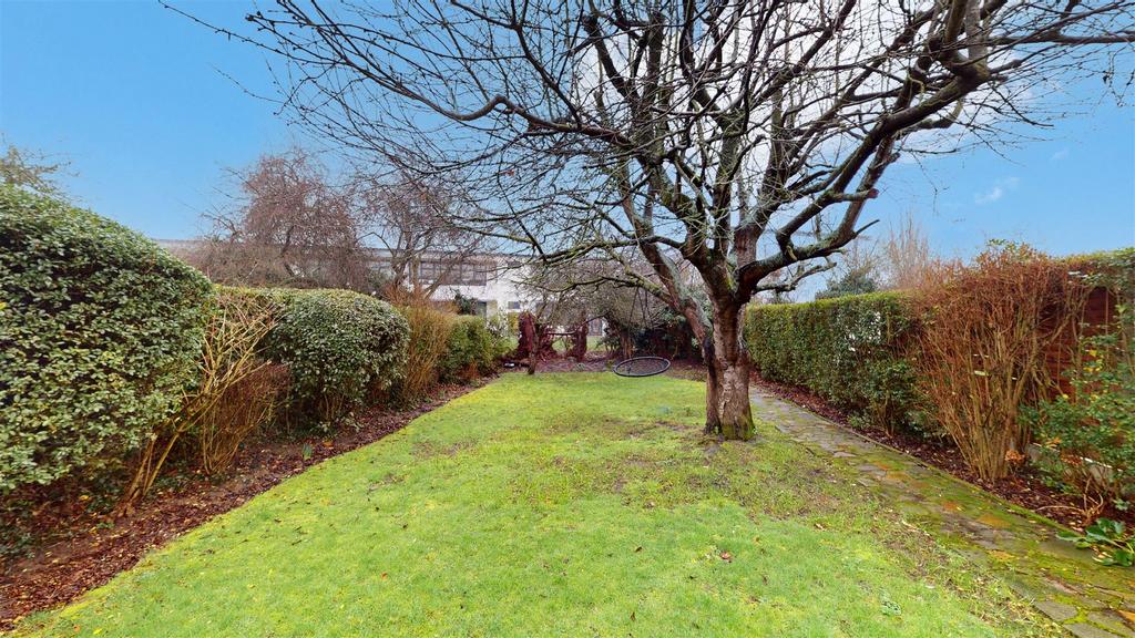 Rear garden.jpg