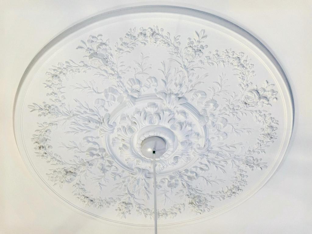 Lounge ceiling rose