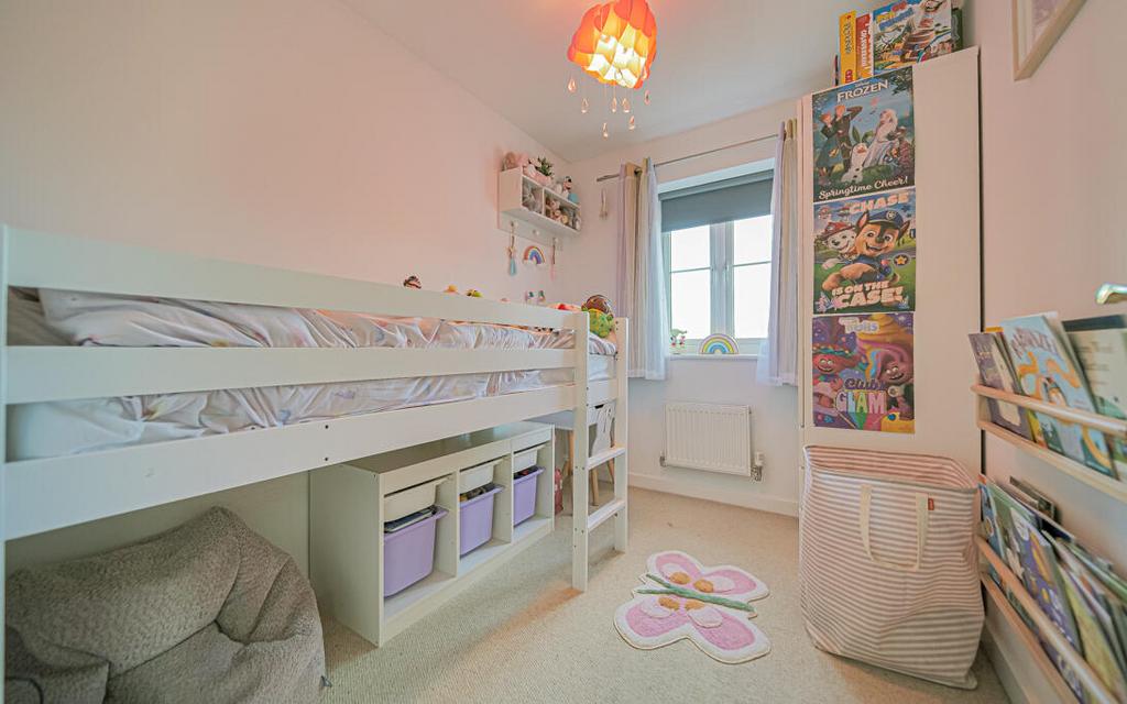 P1067178-2.jpg