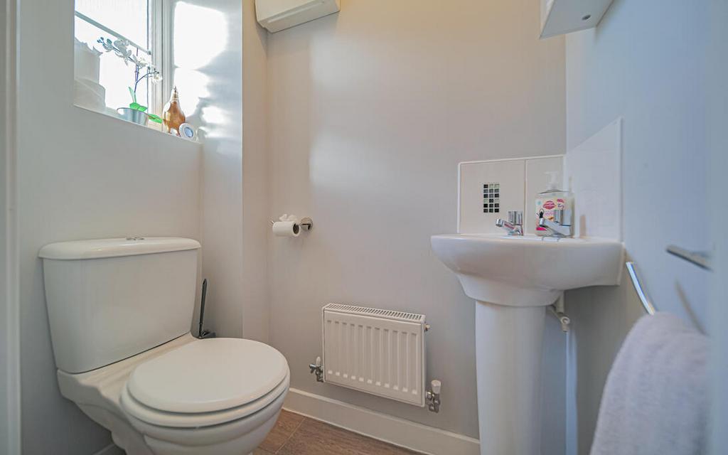 P1067188-2.jpg