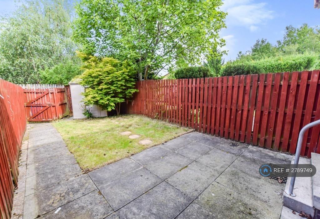 Back Garden