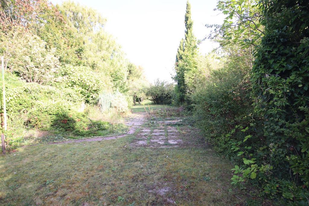 Img 9961.jpg