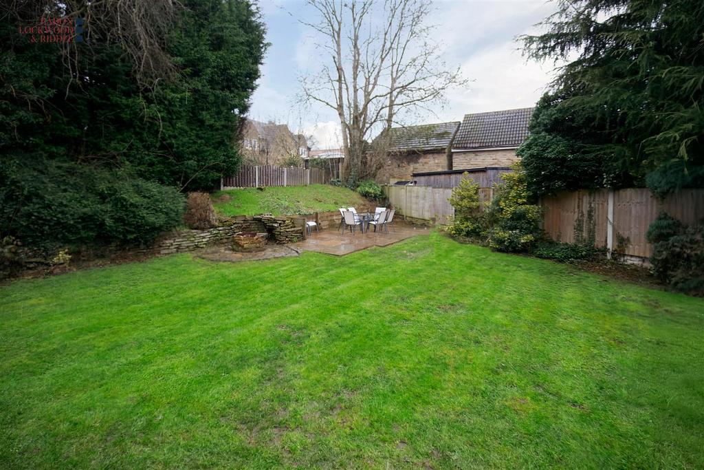 Back garden