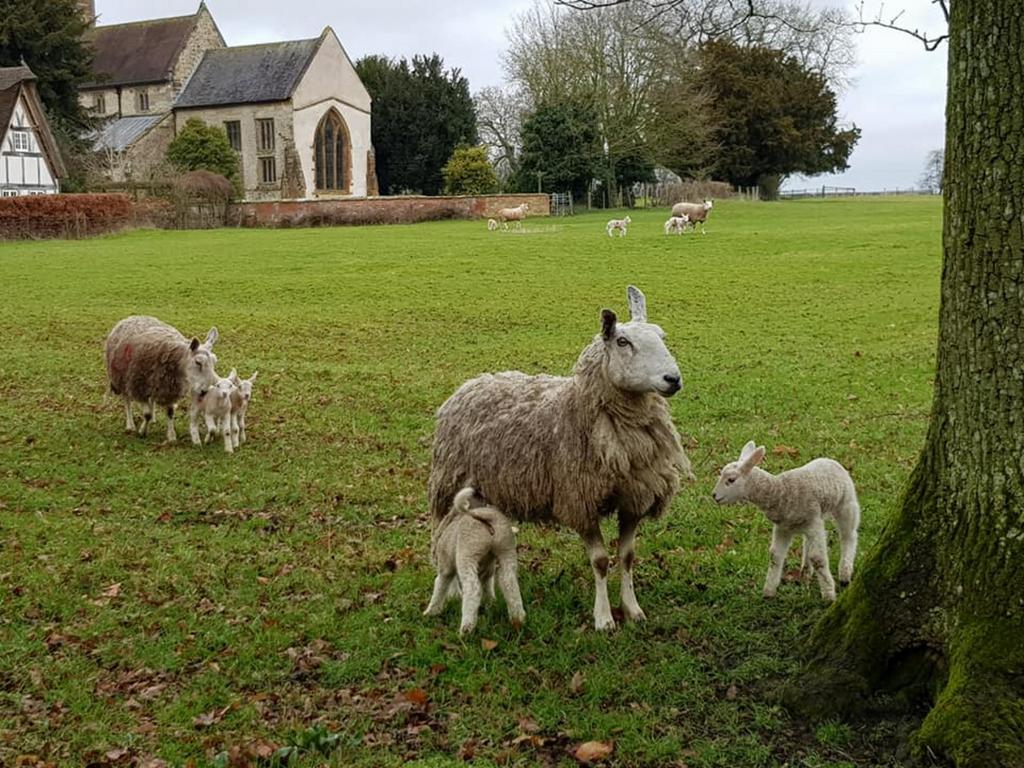 Ladbroke Village