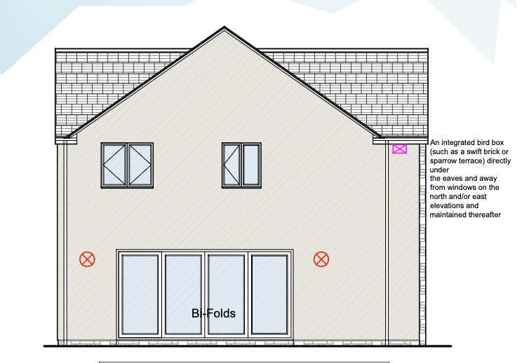 Rear Elevation