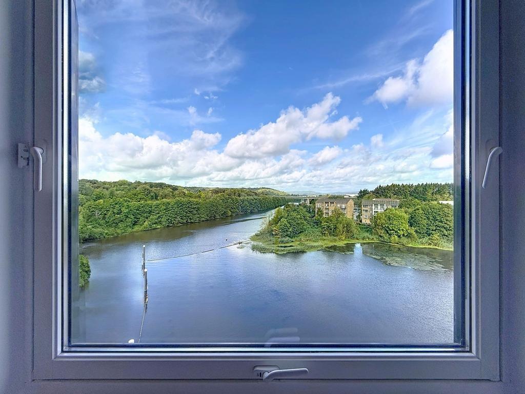 Window Views