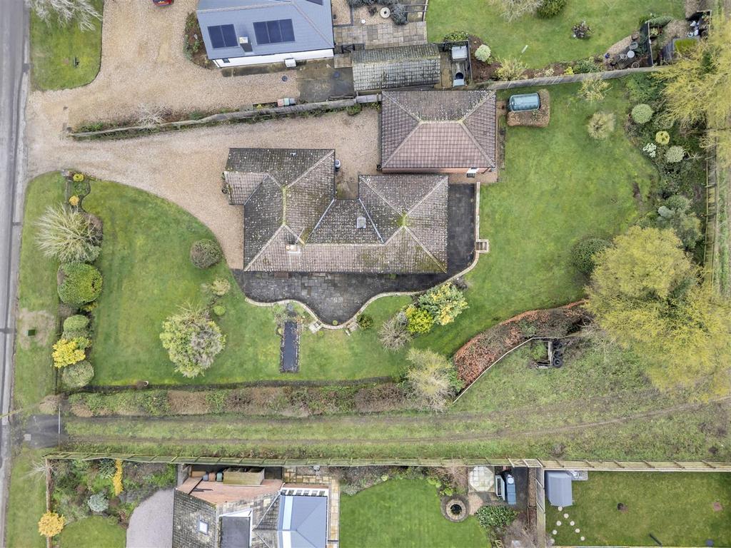 DJI 0705.jpg