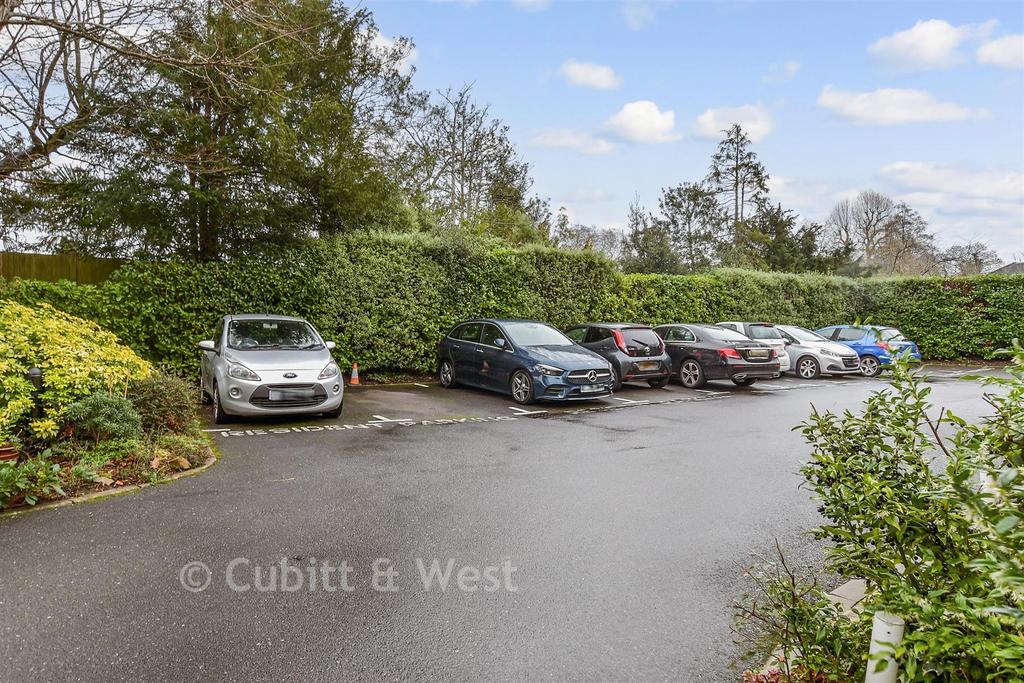 Driveway/Parking