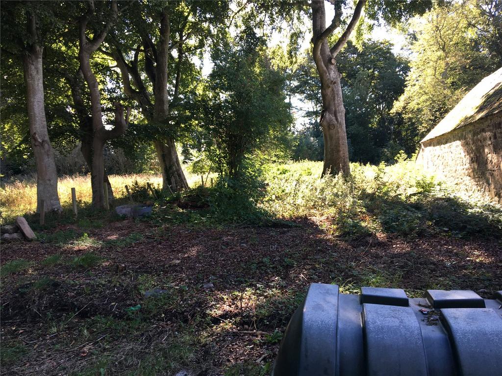 Back Garden