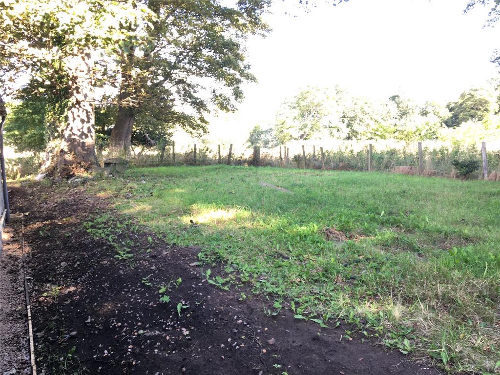 Back Garden