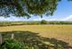 Additional image 13 of Crossbush, Arundel