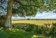 Additional image 14 of Crossbush, Arundel