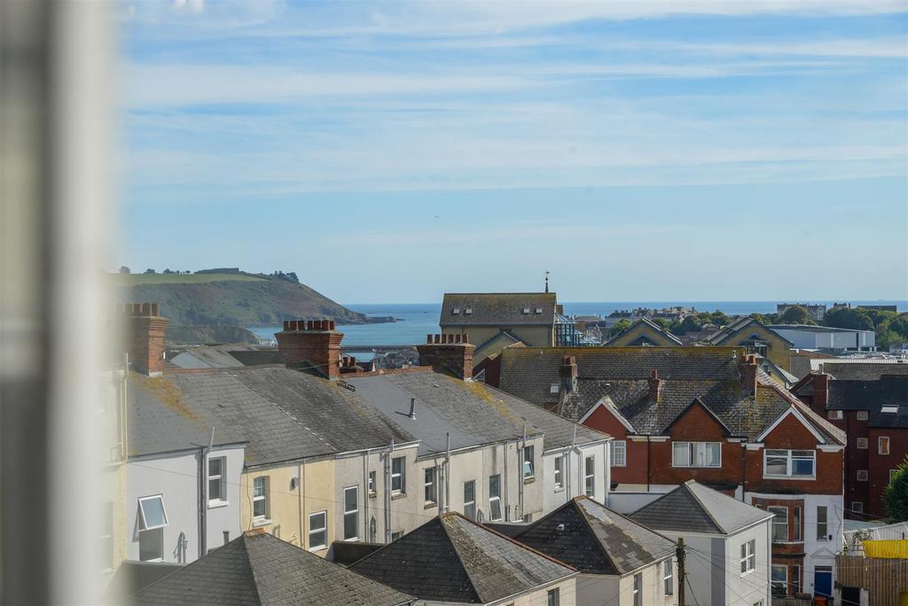 Velux View