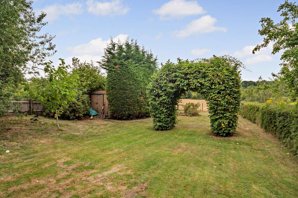 Picture 14