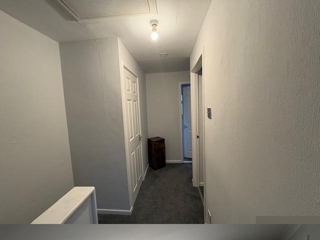 IMG 0533.jpeg