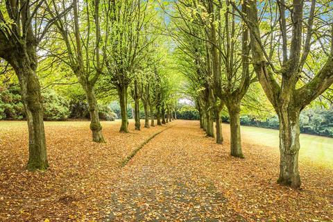 undefined, Farley Lane, Halesowen B62