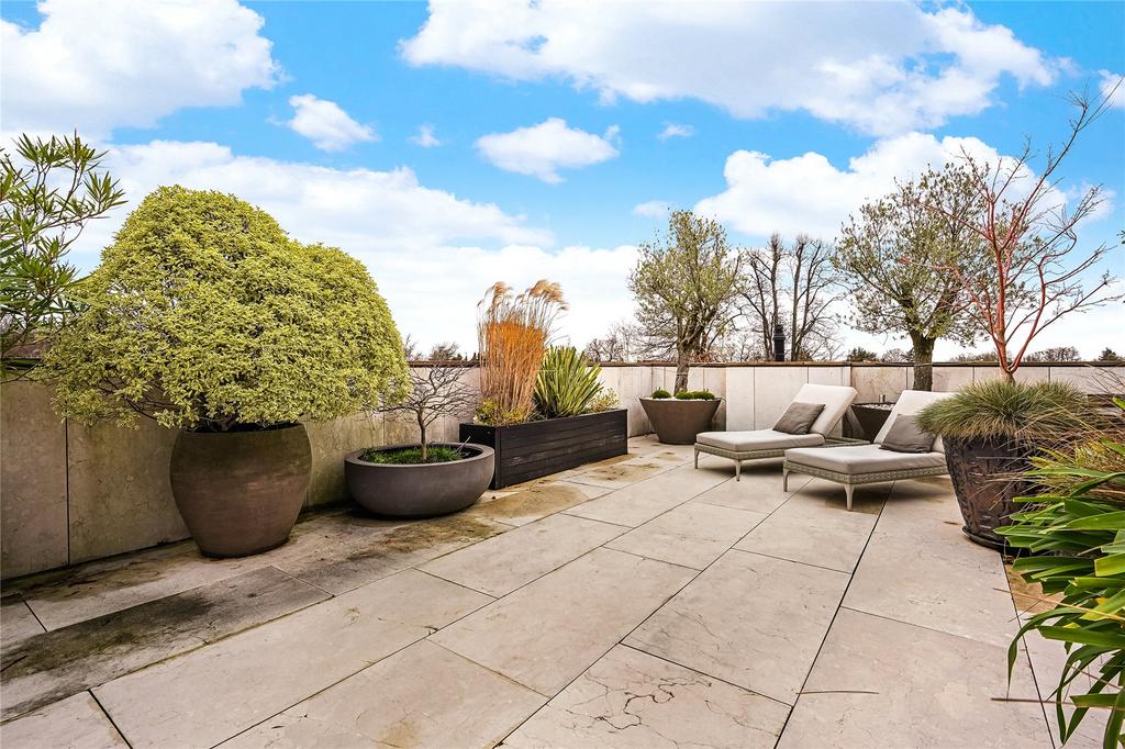 Patio / Terrace
