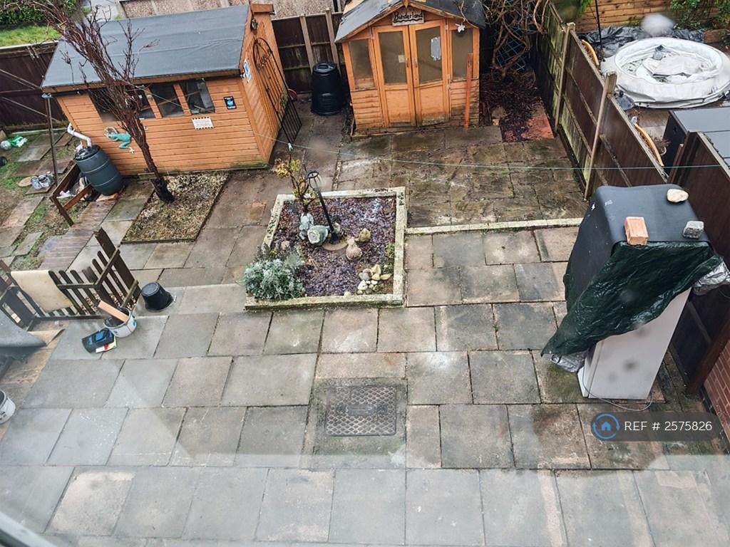Back Garden