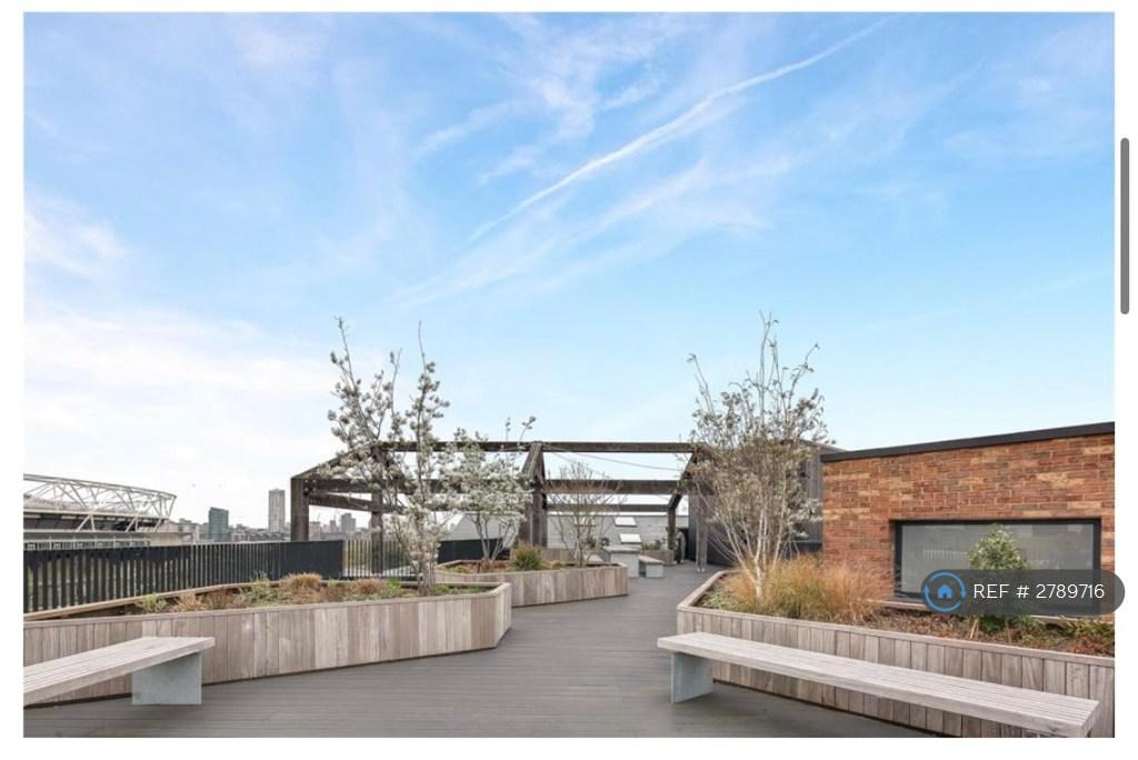 Shared Rooftop