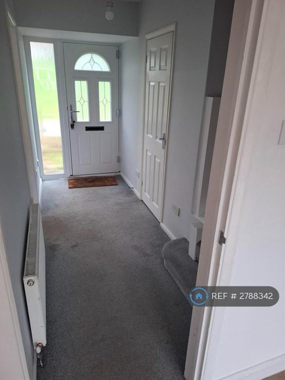 Downstairs Hallway