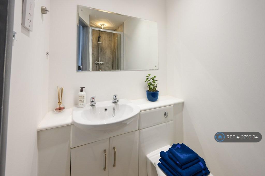 Typical Shower Room