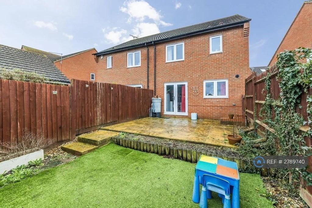 Back Garden