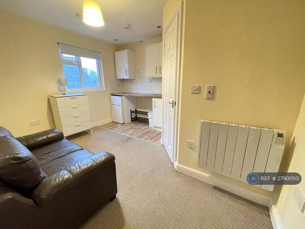 Spacious Open Plan Lounge
