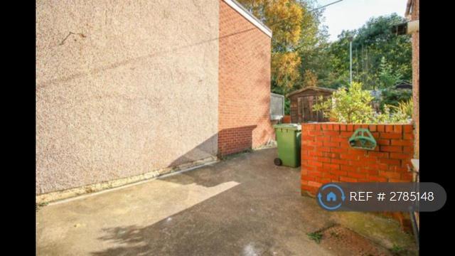 Rear Yard