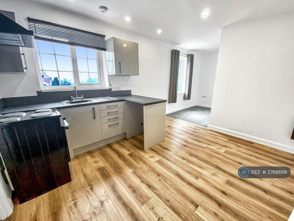 Kitchen/Living Area