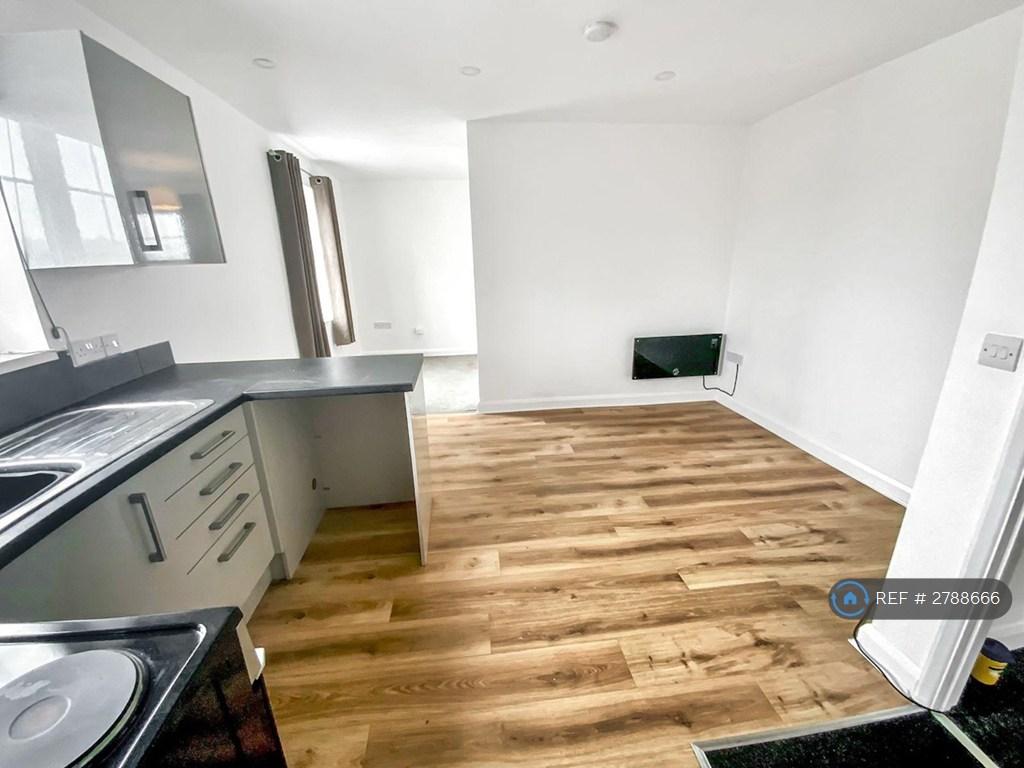 Kitchen/Living Area