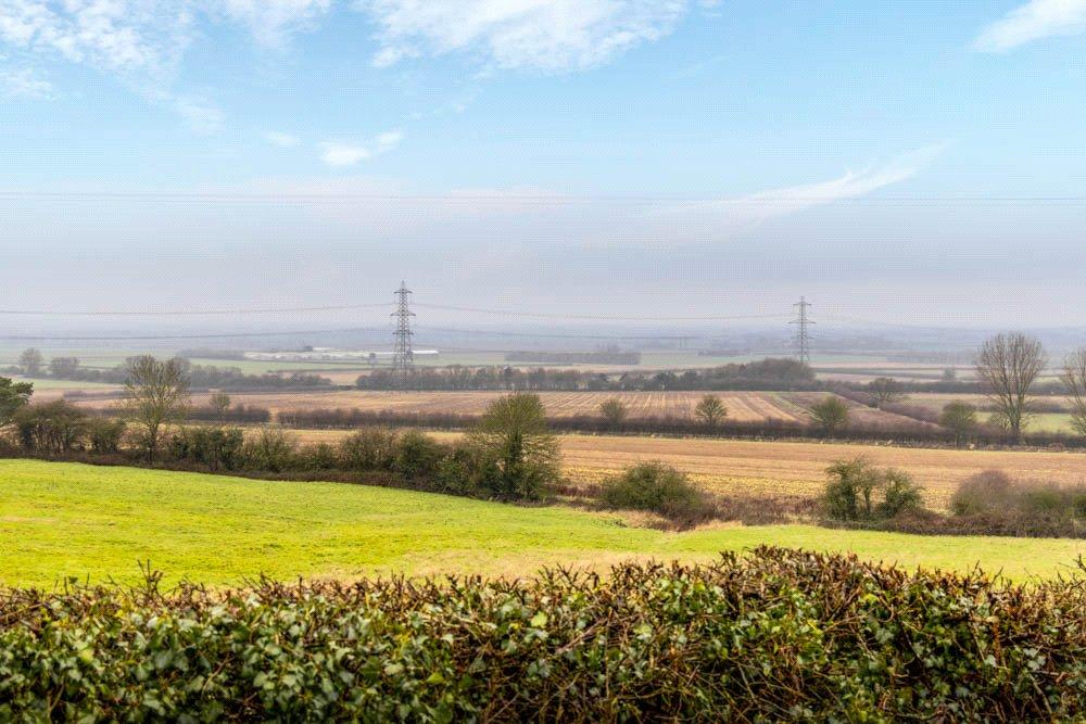 Open Field Views