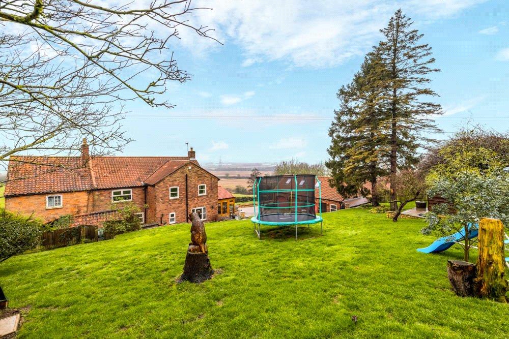 Rear Gardens