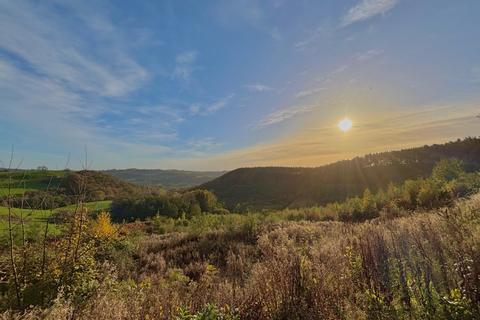 undefined, Norcliffe Wood, Callow, near Wirksworth, Derbyshire DE4