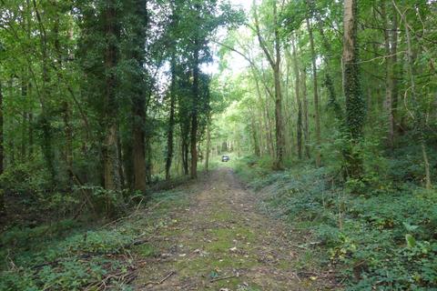 undefined, Norcliffe Wood, Callow, near Wirksworth, Derbyshire DE4