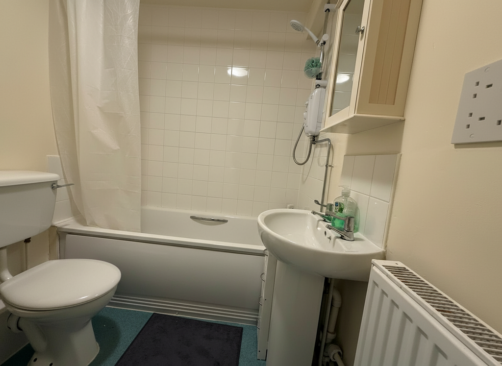 Optimized-Whats App Image 2026-02-10 at 14.22.03...