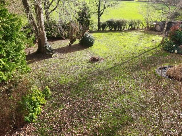 Garden Views
