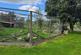 Additional image 22 of Login, Whitland
