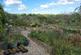 Additional image 35 of Login, Whitland