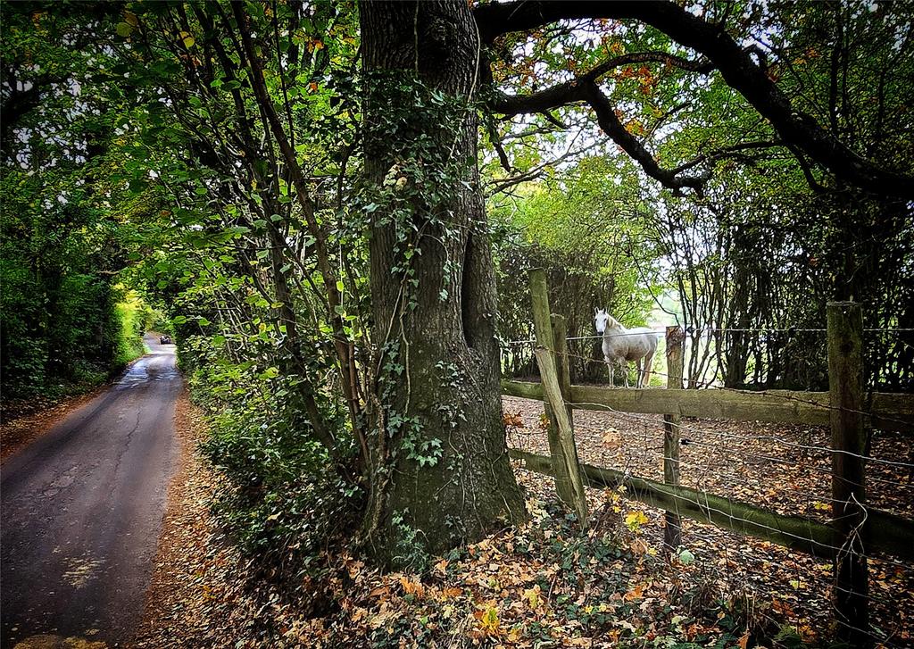 Parkgate Road