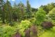 Additional image 5 of Whinfell Court, Sheffield, South Yorkshire, S11