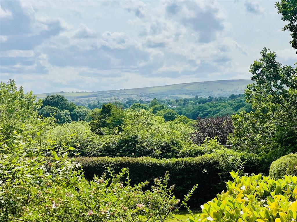 Rural Views