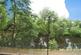 Adelaide Lane, Sheffield, South Yorkshire, S3 photo 4