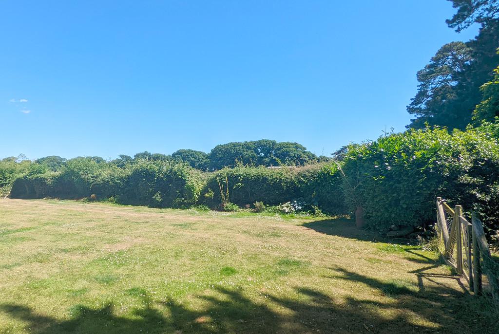 Tiptoe Farm Garden 2