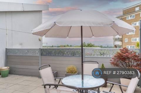 Roof Terrace